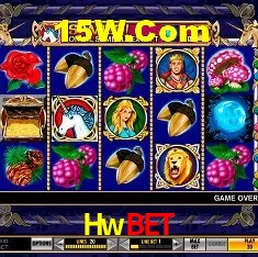 A Popularidade dos Caça-Níqueis no Hwbet